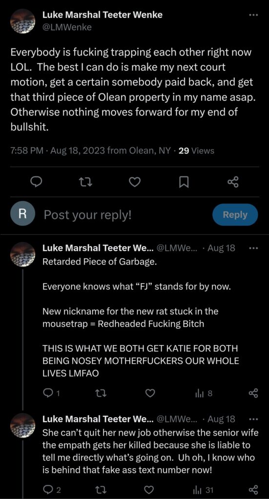 luke wenke katie obsession tweet twitter x screenshot 2023