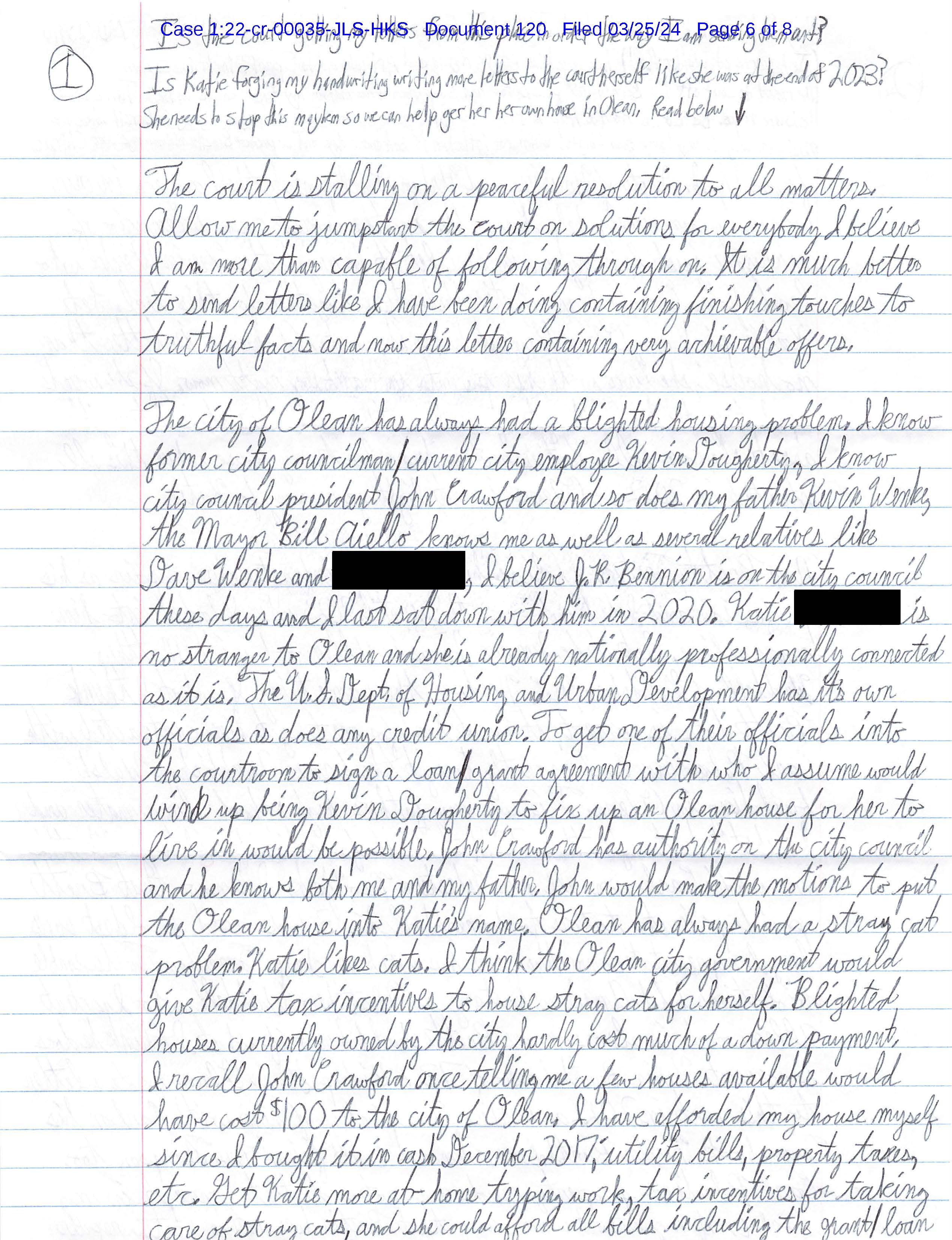 Luke Wenke’s March 25, 2024 letter proposing that Katie receive a city-owned house in Olean and tax incentives for caring for stray cats.