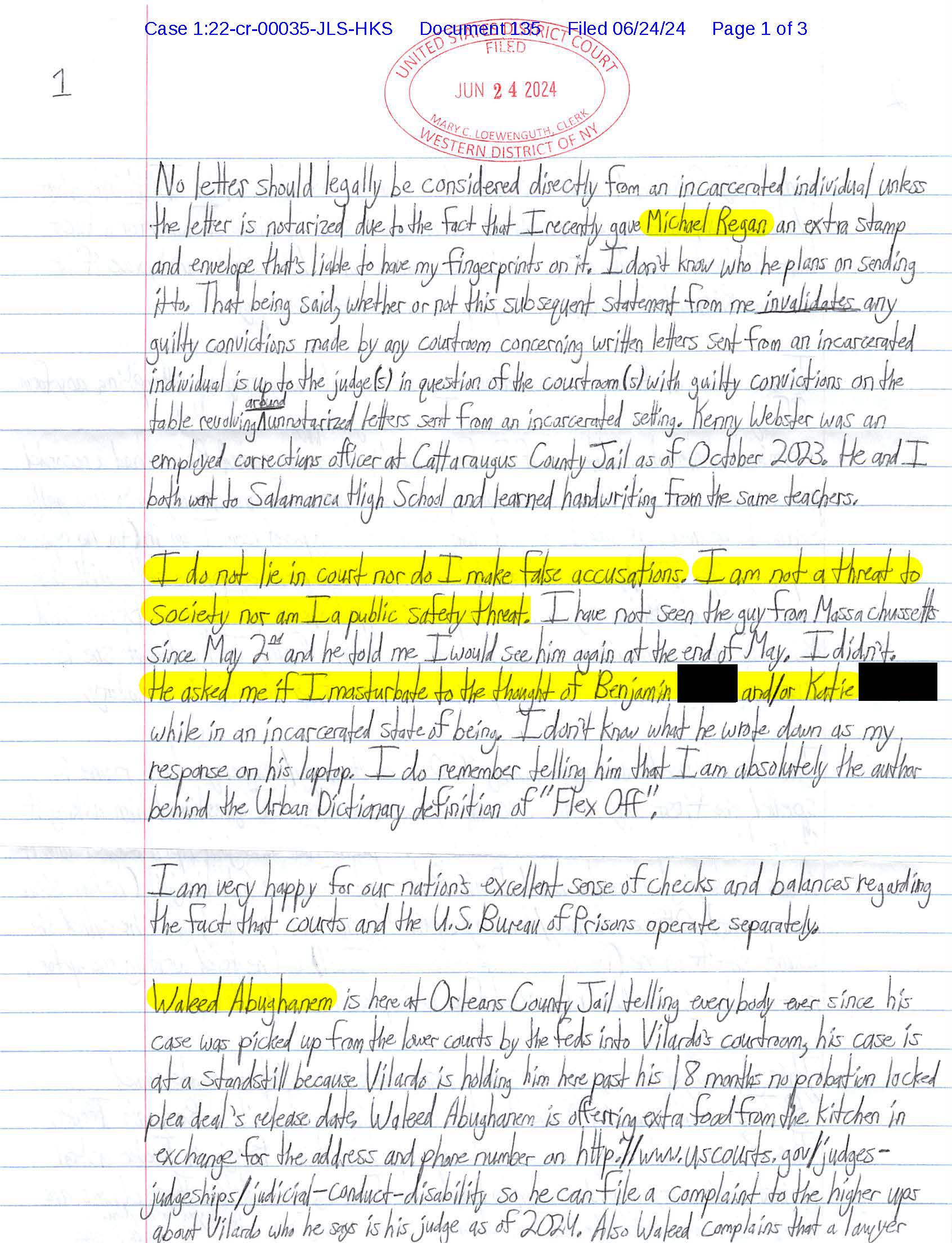 Page 1 of Luke Wenke’s June 2024 handwritten federal court letter discussing Katie, Benjamin, Michael Regan, jail correspondence, and claims about public safety.