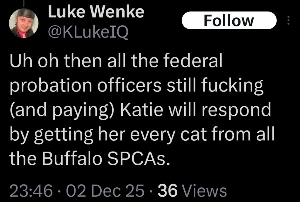 luke wenke x twitter screenshot 2025 katie obsession threats cats