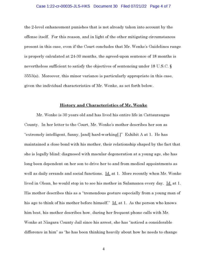 usa v. luke wenke sentencing memorandum july 2022