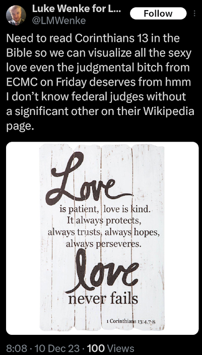 luke wenke admits to sexual fantasies involving the judge overseeing his criminal case x/twitter screenshot december 2023