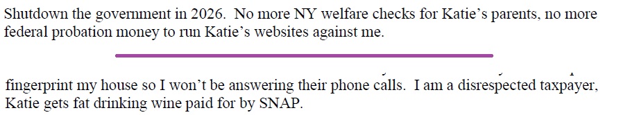 screenshot of luke wenke mocking stalking victim katie in an email to judgejohn sinatra 2025