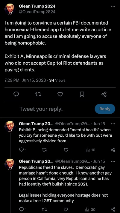 June 15, 2023 screenshot of posts from Luke Wenke’s Olean Trump 2024 account accusing people of homophobia while making derogatory claims about gay people, LGBT issues, and criminal defense lawyers.