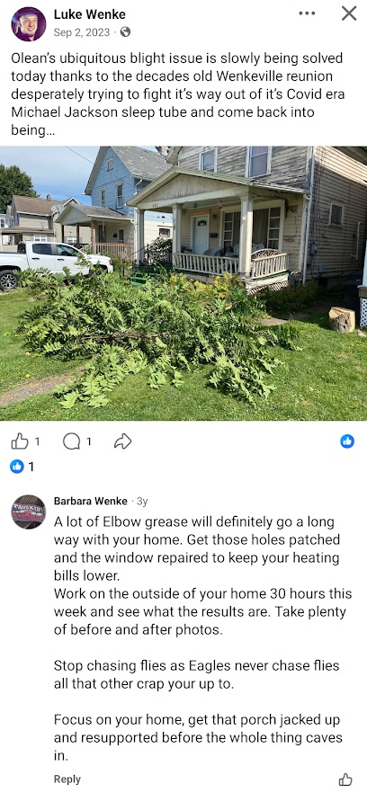 Luke Wenke shares a photo of his overgrown yard while discussing Olean blight and the Wenkeville reunion.